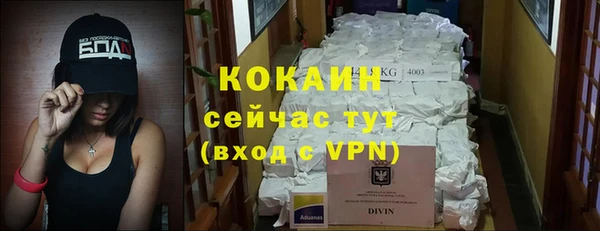 PSILOCYBIN Надым