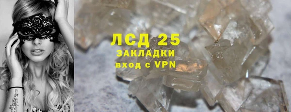 PSILOCYBIN Надым