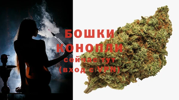 PSILOCYBIN Надым