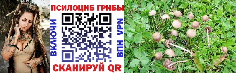Псилоцибиновые грибы мицелий  купить   Киселёвск 